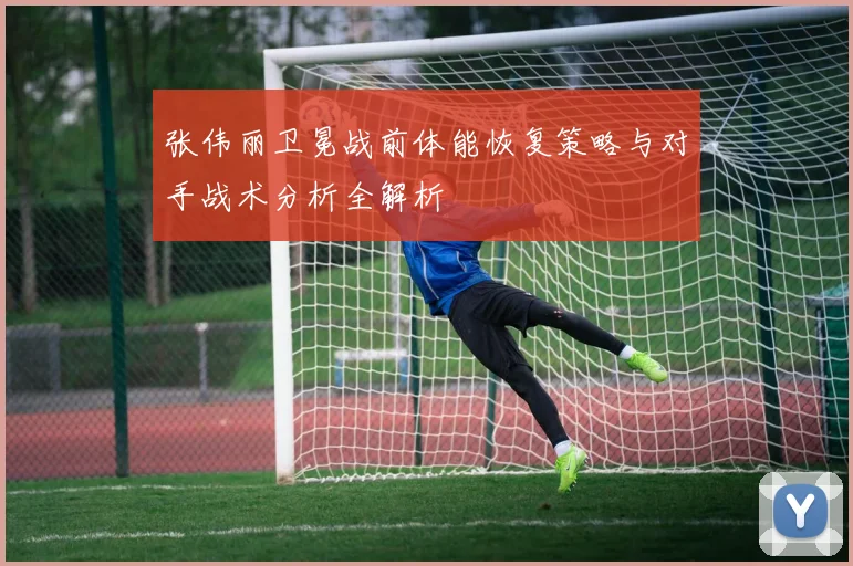 张伟丽卫冕战前体能恢复策略与对手战术分析全解析